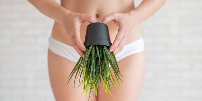 Worin unterscheiden sich Trimmer für den Intimbereich von herkömmlichen Körperrasierern?